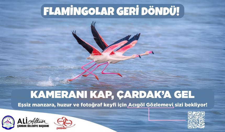 Resmi Reklam - Çardak Belediyesi - Flamingolar Geri Döndü - 29 Nisan 2026