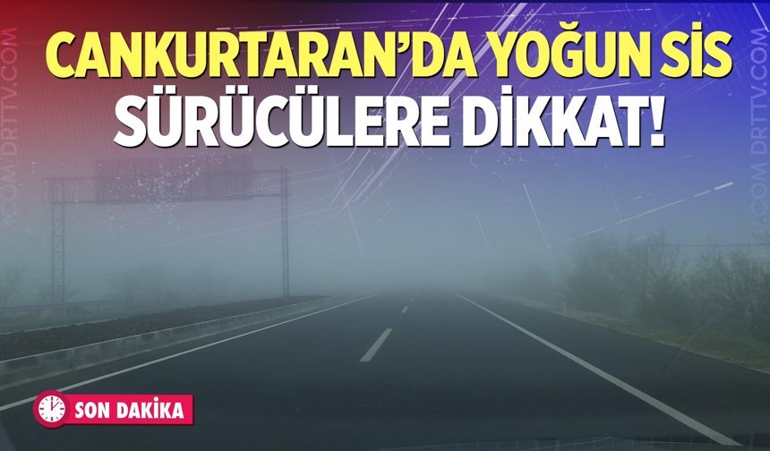 Cankurtaran'da yoğun sis…