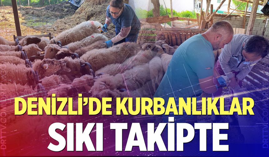 Denizli’de kurbanlıklar sıkı takipte
