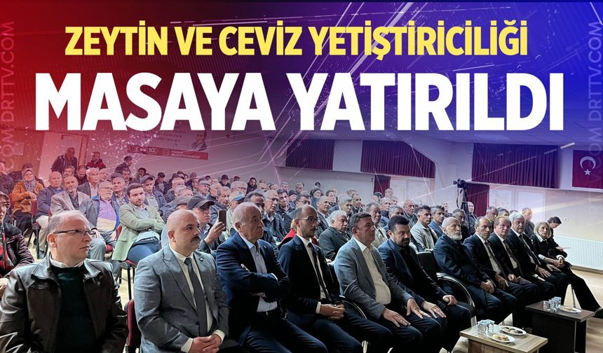 Kale’de zeytin ve ceviz yetiştiriciliği masaya yatırıldı