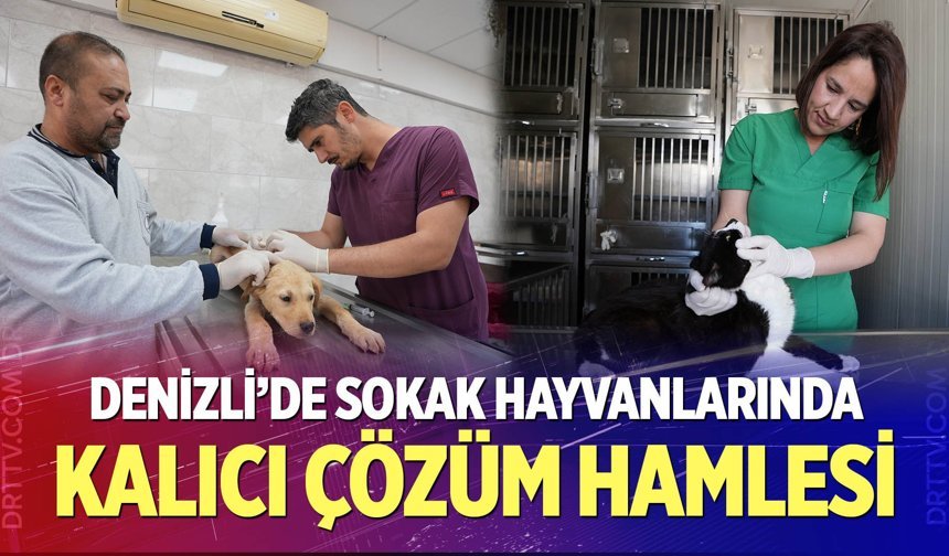 Denizli’de sokak hayvanlarında kalıcı çözüm hamlesi