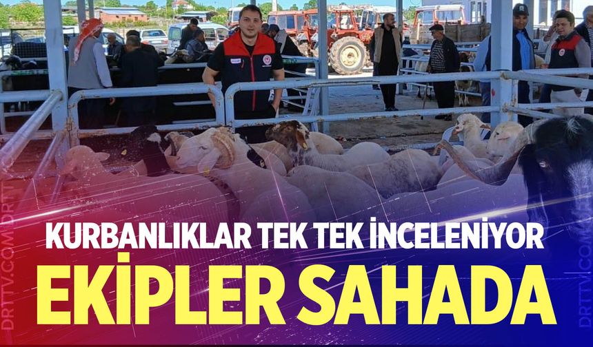 Denizli'de kurbanlıklar tek tek inceleniyor