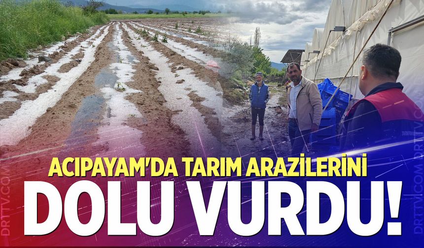 Şiddetli dolu yağışı Acıpayam’da tarımı vurdu