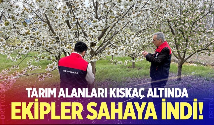 Denizli’de soğuk hava alarmı: Tarım ekipleri sahaya indi!