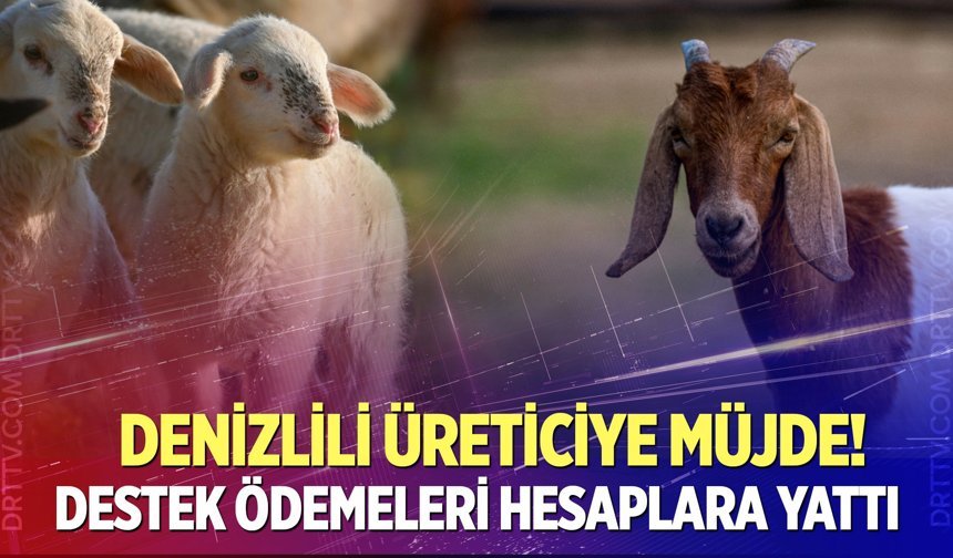 Denizlili üreticilere dev destek!