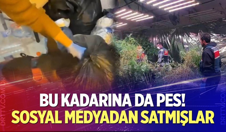 Sosyal medyadan zehir satmışlar