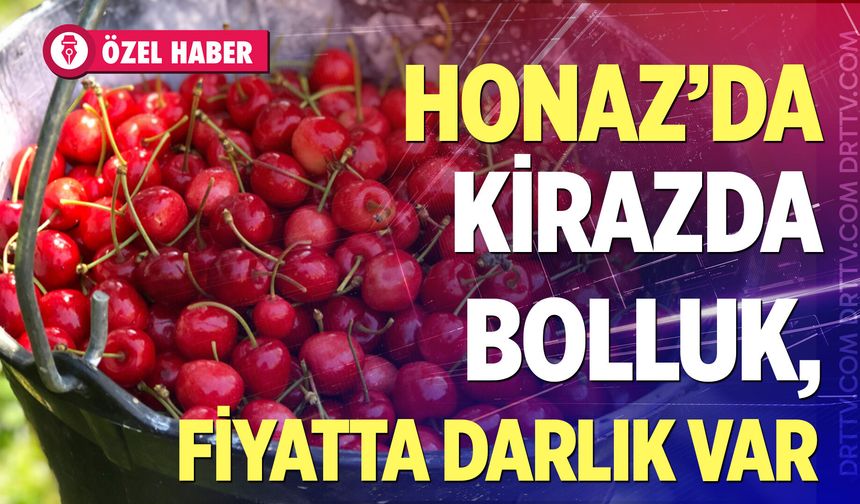 Honaz Kirazında rekolte patladı! Fiyatlar üreticiyi üzdü