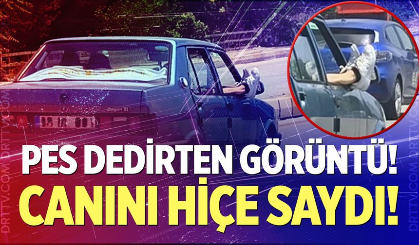 Pes dedirten görüntü!