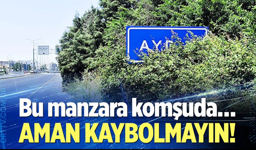 Bu manzara komşuda… Aman kaybolmayın!