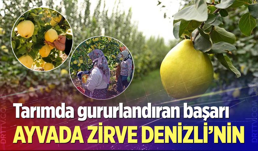 Denizli, ayva üretiminde Türkiye’nin zirvesinde