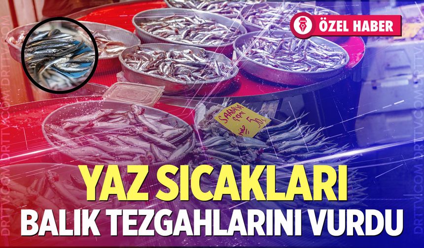 Denizli’de balık fiyatları ne kadar? Hamsi, sardalya ve çupra güncel fiyatları