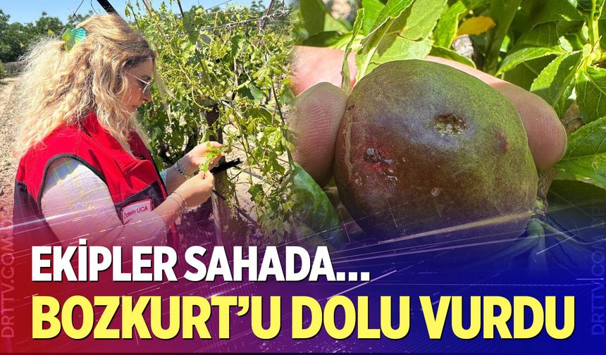 Bozkurt’ta tarım arazilerinde hasar tespit çalışmaları yürütülüyor