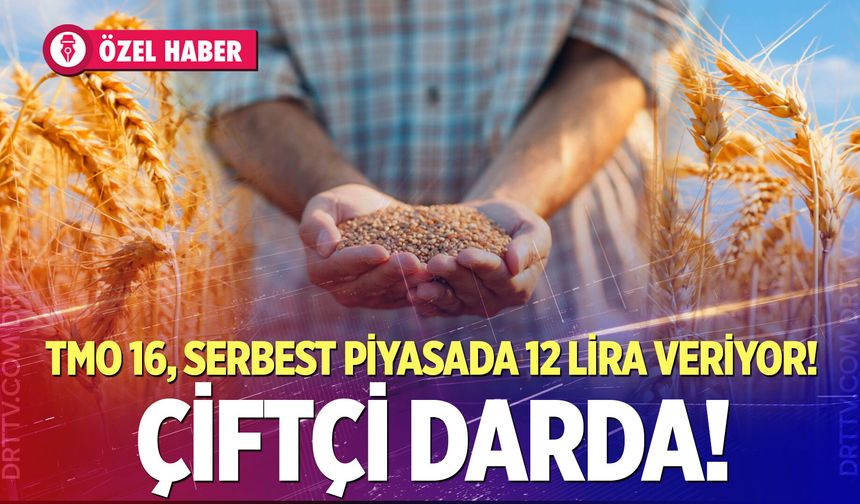 TMO 16, serbest piyasada 12 lira veriyor!  Çiftçi darda!