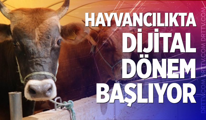 Hayvancılıkta dijital dönem başlıyor