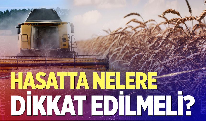 Denizli’de hububat hasadı başladı: Ekipler sahada, çiftçilere kritik uyarılar