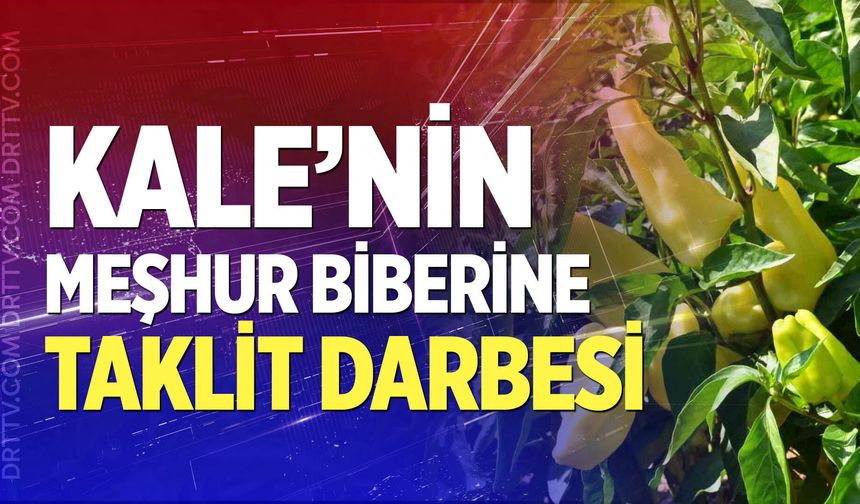 Kale'nin meşhur biberine taklit darbesi!