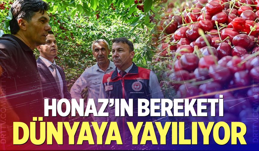 Honaz’ın bereketi dünyaya yayılıyor