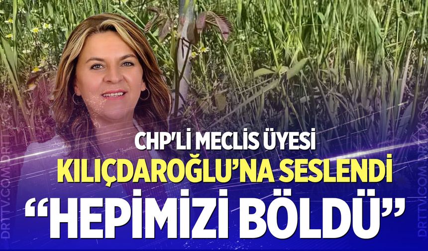CHP'li Meclis Üyesi Dingil, Kılıçdaroğlu’na seslendi