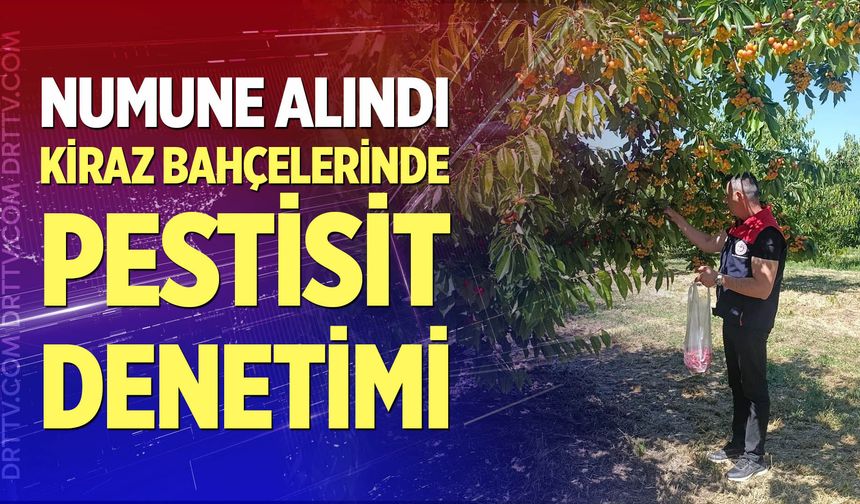 Kiraz bahçelerinde pestisit denetimi