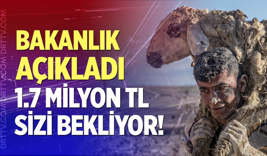 Tarladan kadraja uzanan yolculuk; Son başvuru 31 ağustos
