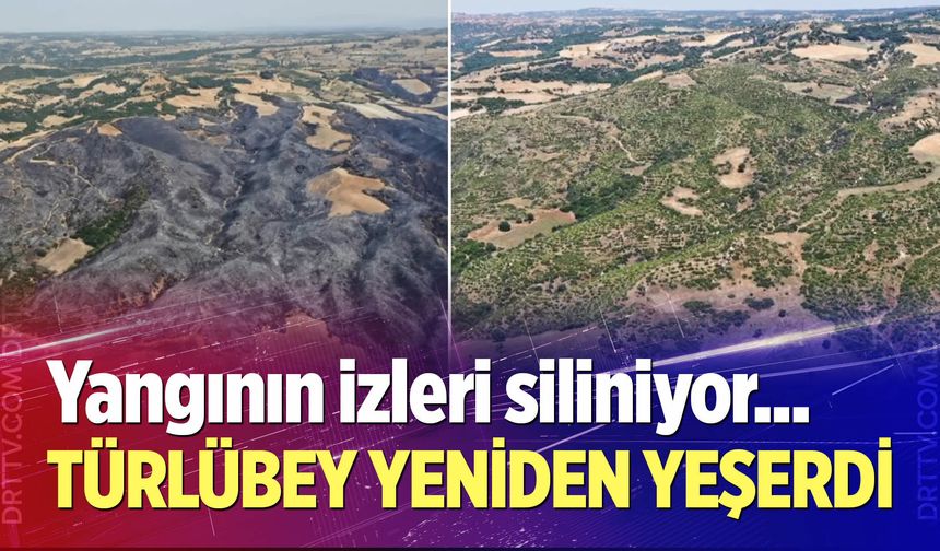 Türlübey yeniden yeşerdi
