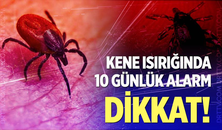 Uzmanından kene tutunmasında ’10 gün’ uyarısı