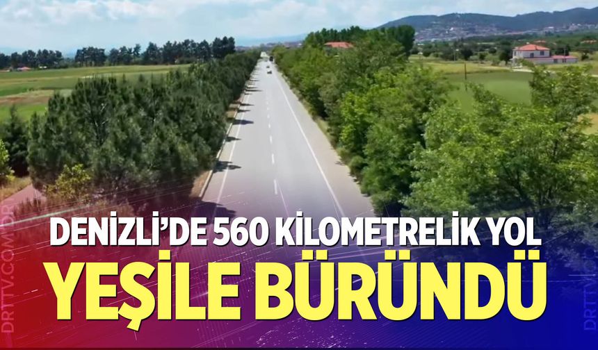 Denizli’de 560 kilometrelik yol yeşile büründü