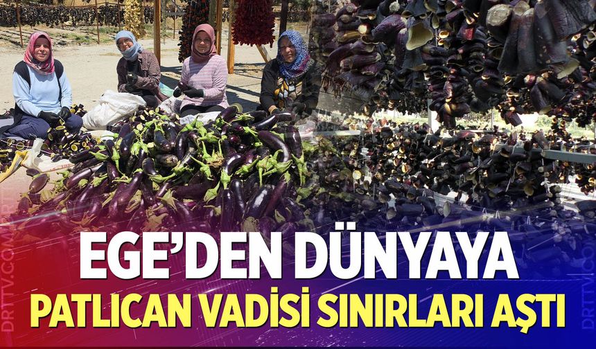 Patlıcan vadisi sınırları aştı
