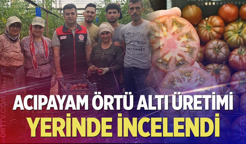 Acıpayam örtü altı üretimi yerinde incelendi
