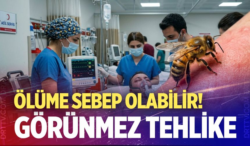 Arı Alerjisi Nasıl Anlaşılır, Ölüme Yol Açar mı? İşte Merak Edilen Tüm Detaylar!