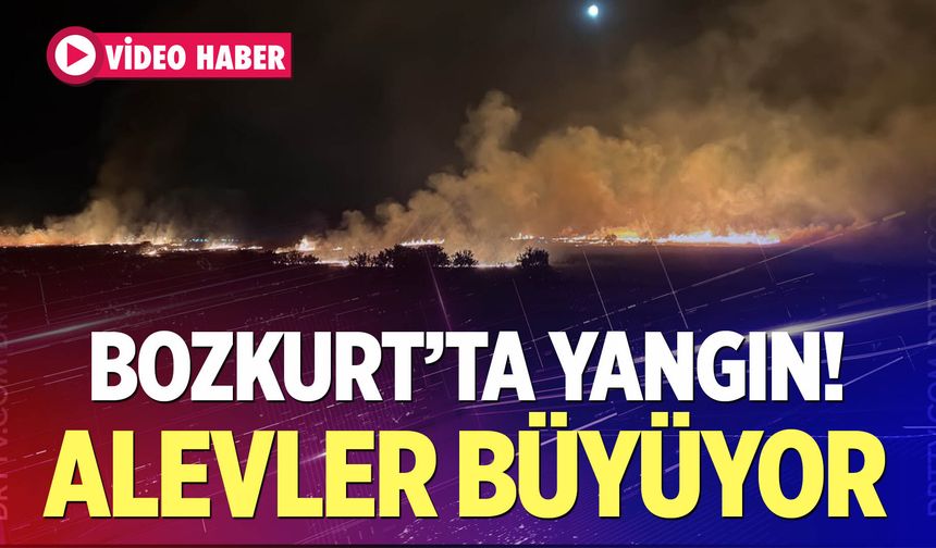 Bozkurt'ta Korkutan Yangın!