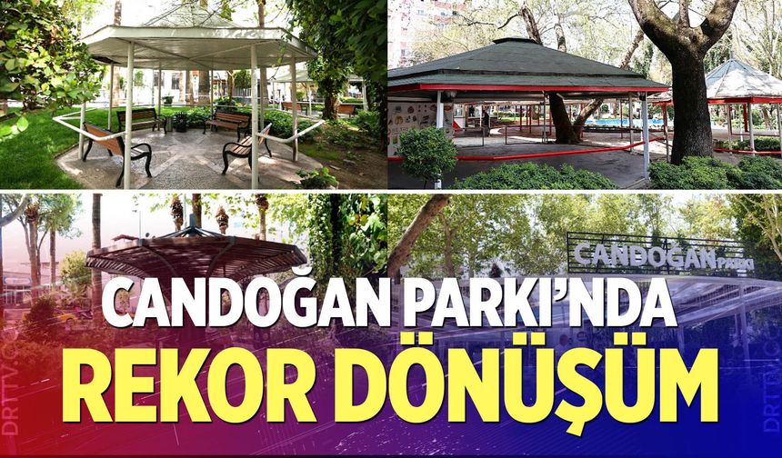 Candoğan Parkı’nda Rekor Dönüşüm