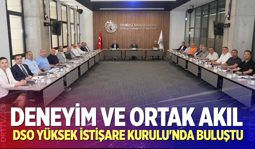 Deneyim ve Ortak Akıl DSO Yüksek İstişare Kurulu'nda Buluştu