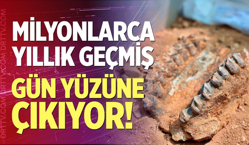 Denizli’de Milyonlarca Yıllık Geçmiş Gün Yüzüne Çıkıyor