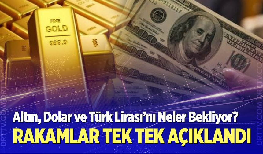 Altın, Dolar ve Türk Lirası’nı Neler Bekliyor?