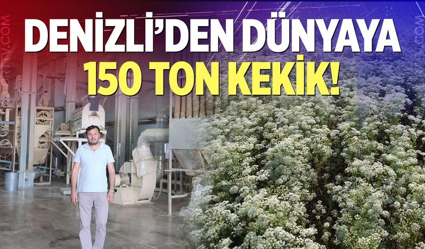 Denizli’den Dünyaya 150 Ton Kekik