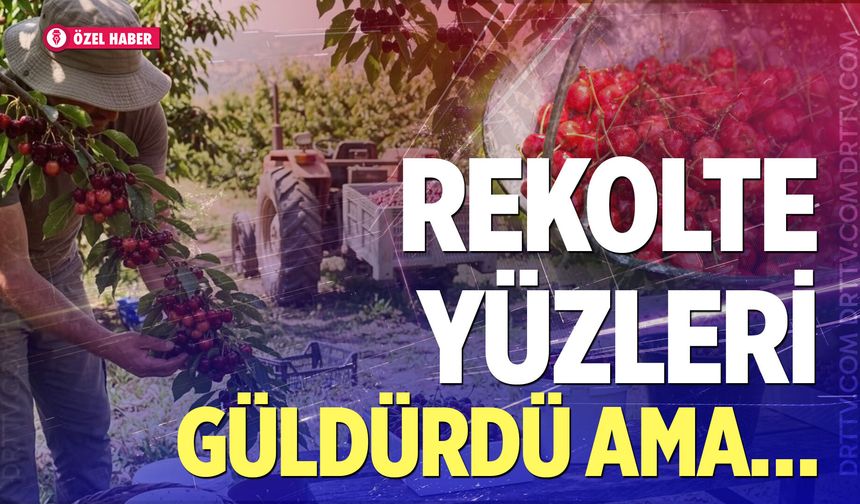 Honaz’da kiraz üreticisinin gözü yaşlı… İşte sebebi