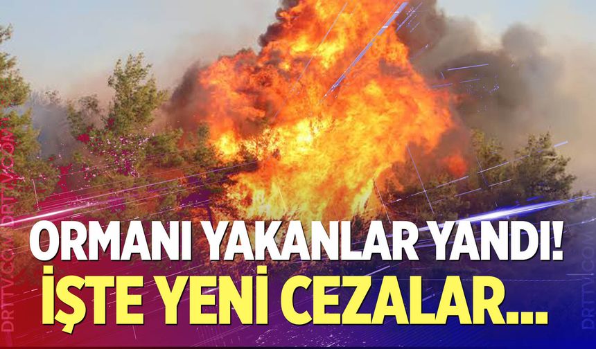 Ormanı Yakan Yandı! İşte Yeni Cezalar