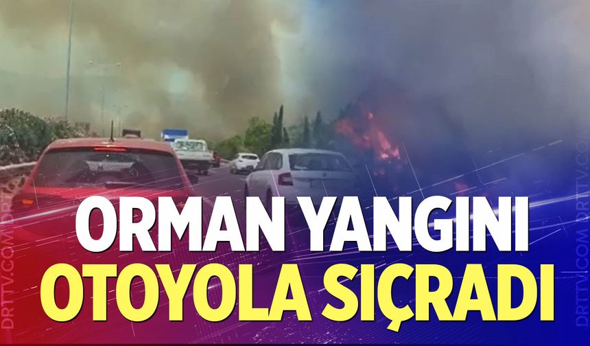 Manisa'da orman yangınında alevler İzmir-İstanbul Otoyolu'na ulaştı