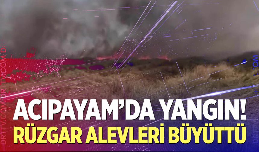Rüzgar Alevleri Büyüttü: Ekipler Seferber Oldu