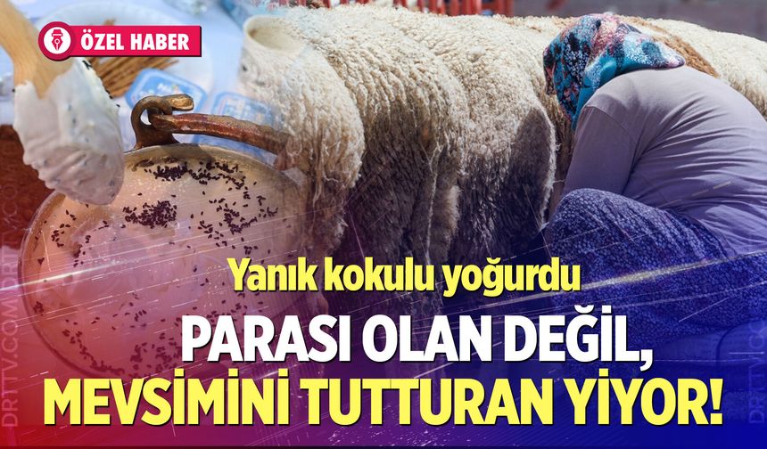 Yanık kokulu Denizli yoğurdunu paranız olsa da alamayabilirsiniz! İşte nedeni…
