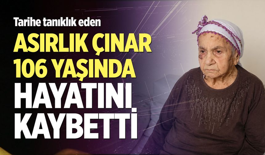 Asırlık çınar 106 yaşında hayatını kaybetti