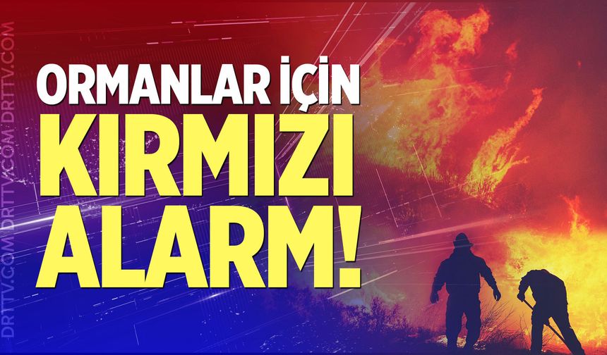 Ormanlar için kırmızı alarm!