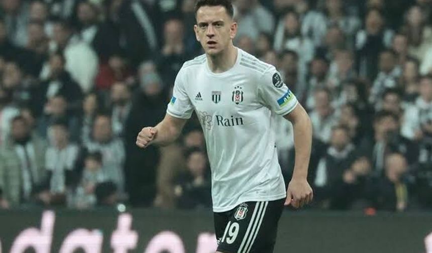 Beşiktaş, Amir Hadziahmetovic ile yollarını ayırdı