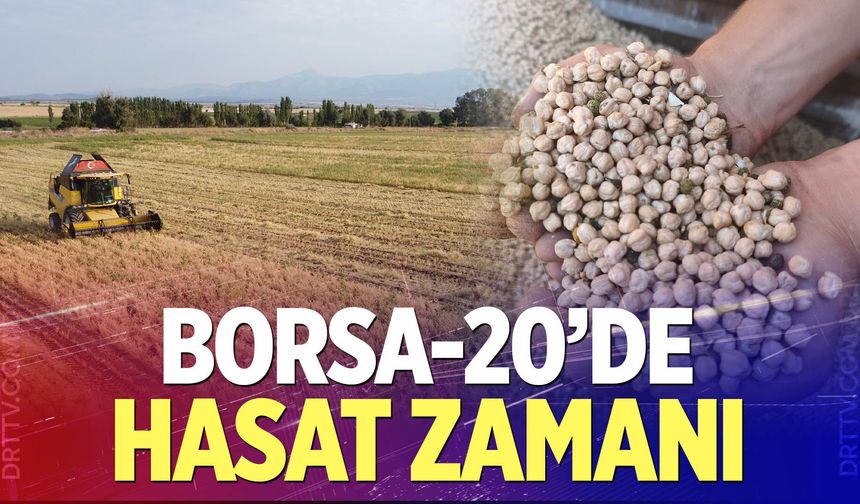 Borsa-20’de Hasat Başarıyla Gerçekleştirildi