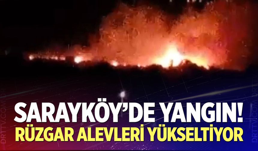 Sarayköy'de yangın!