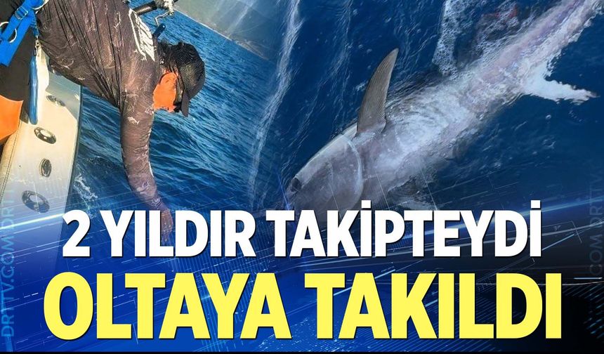 Fransızların 2 yıldır takip ettiği orkinos Türk iş adamının oltasına takıldı