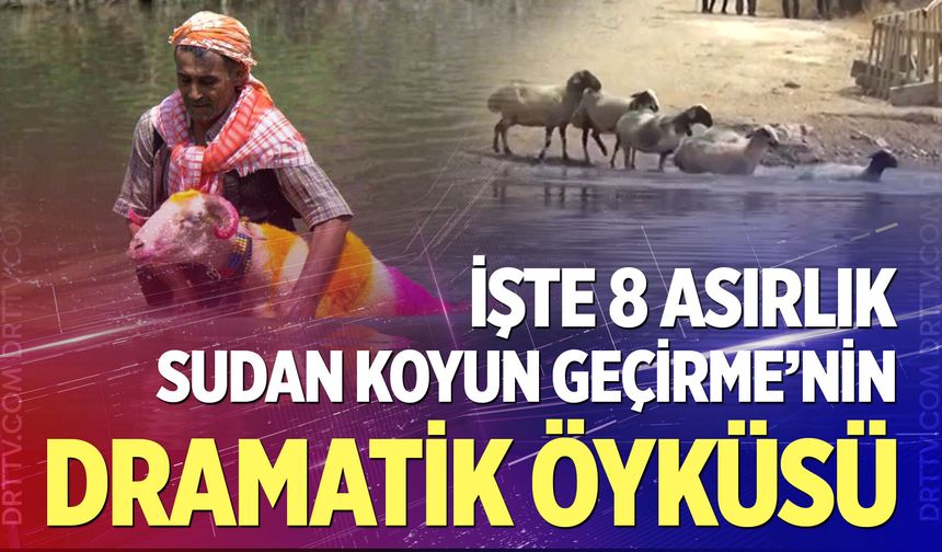 İşte 8 Asırlık Sudan Koyun Geçirme’nin dramatik öyküsü