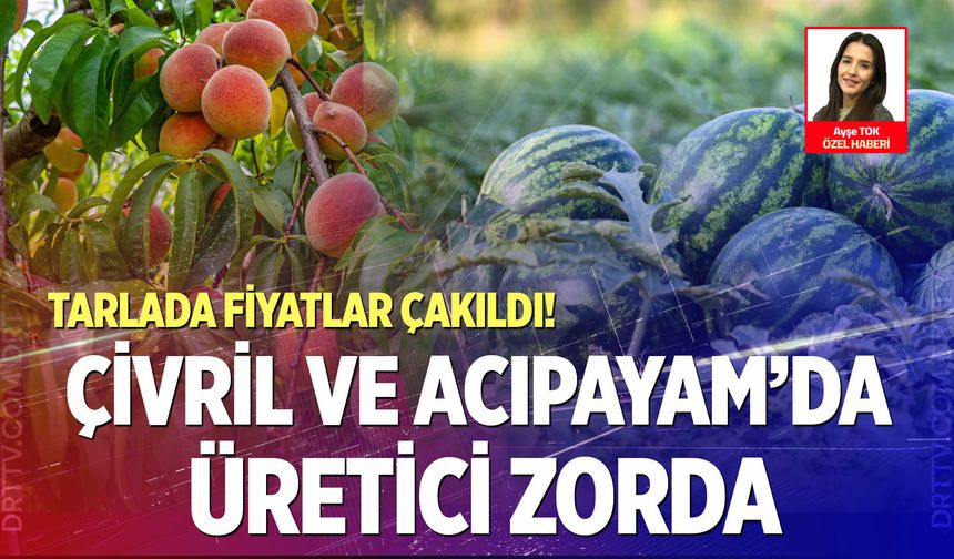 Denizli’de tarım alarmda! Şeftali ve karpuz üreticisi darda