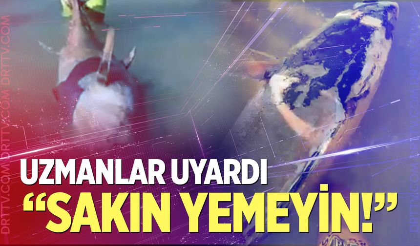 Uzmanlar uyardı: "Sakın yemeyin!"